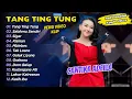 Download Lagu Cantika Adella - TANG TING TUNG - SALAHMU SENDIRI || FULL DANGDUT KOPLO 2024