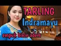 Download Lagu TARLING TENGDUNG INDRAMAYU_EMPUK BIKIN ADEM_JUARA BASNYA @toyobringin3238 