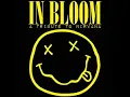 Nirvana - In Bloom