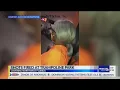 VIRAL Gun shots fired at Pensacola Sky Zone