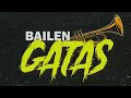 BAILEN GATAS - (Turreo RKT) - MAMBO DJ FT. TOMI RMX // TEAM RKT 🛸