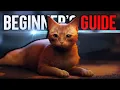 Stray Beginner s Guide Tips Tricks to Navigate the City as a Cat