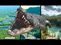 Why Are There No Crocodiles In Europe Amazon Rainforest or Canada