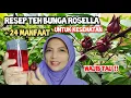 Download Lagu 24 Khasiat Luar Biasa Teh Bunga Rosella dan cara mengolahnya