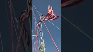 #dyneema #backstayadjuster