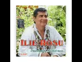 Lagu Ilie Roşu - Dragoste dulce de mai