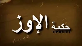 روح الفريق  حكمة الإوز  دندنها