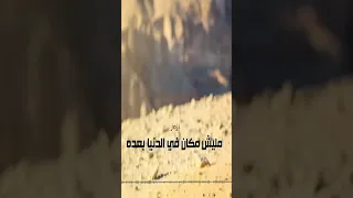 عمرو دياب غاب الغالي غاب دندنها