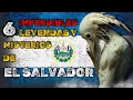 Download Lagu El Salvador Oculto_ 6 Misterios que los Abuelos Aún Temen Contar