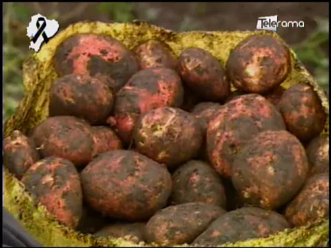 Ecuador Agropecuario 25-04-2018