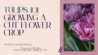 Tulips 101 Growing A Cut Flower Crop with Farmer Bailey