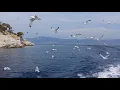 Beautiful Relaxing Piano Mix - Chad Lawson