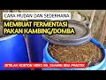 Download Lagu CARA MUDAH DAN SEDERHANA MEMBUAT FERMENTASI PAKAN DOMBA