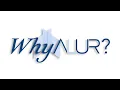 What are designers saying about ALUR glass walls