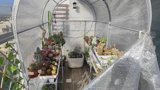 Tiny Balcony to IKEA Greenhouse ASPAREN
