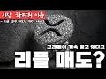 Download Lagu 왜 시장이 흔들리나… XRP 매도·채굴자 침묵·파월의 침묵