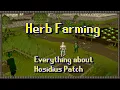 Hosidius Patch Upgrade Guide