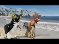 Cody Gets Slammed By a Big Wave | Surf's Up | Now Playing
