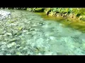 【自然音】せせらぎ - 4 / 1 Hour Nature Sounds - Babbling Brook Sounds