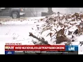 South Bend and St Joseph County residents frustrated with delayed leaf pickup programs