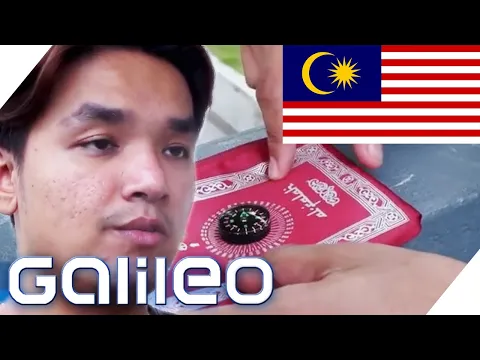 Download MP3 5 Dinge, ohne die man in Malaysia nicht leben kann | Galileo | ProSieben