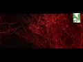 Session 9 trailer