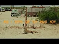 Anna Graves - In the Wild (Lyric Video)