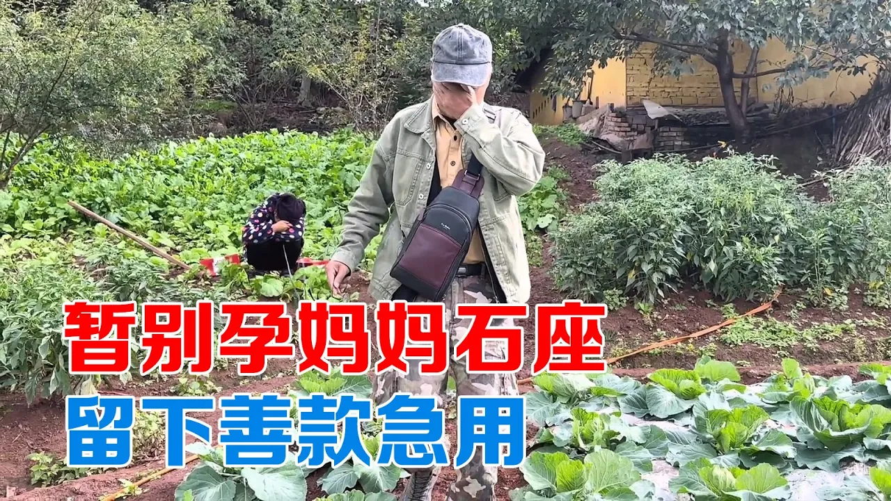 包哥有可能要离开石座，一直惦记着孕妈妈住院，善款给她急用【包哥量地球】