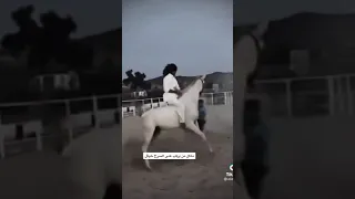 مكل من يركب على السرج خيال   دندنها