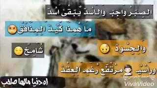 اه دنيا مالها صاحب دندنها