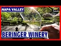 NAPA VALLEY BERINGER WINERY WINE TASTING Part 4 4K