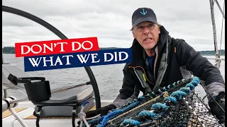 What? We Went Shrimping on our Sailboat?!!  |  Sailing SV Indigo