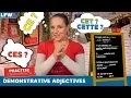 Practise your French demonstrative adjectives CE CET CETTE CES