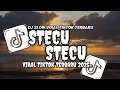 Download Lagu DJ Stecu Stecu Remix Viral TikTok Terbaru 2025 Full Bass (SPEED UP \u0026 Reverb 2.0)