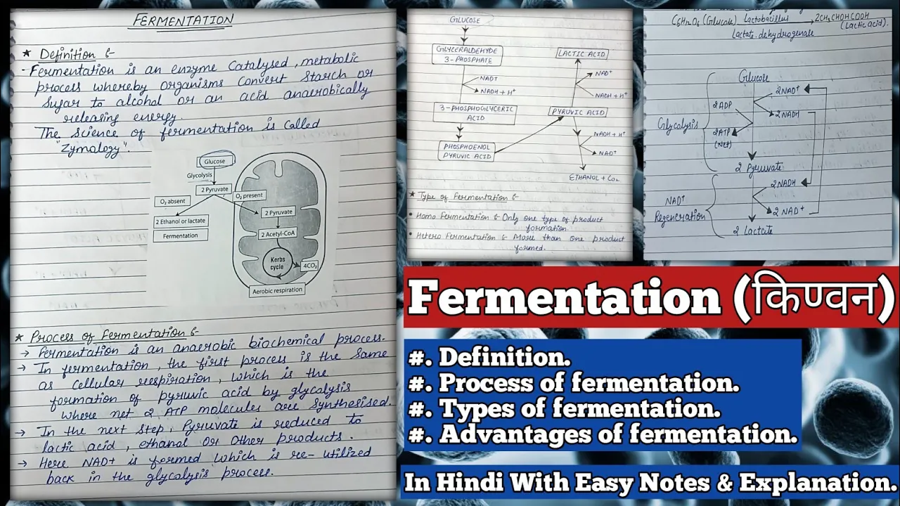 Fermentation (किण्वन) | Process of fermentation | Types of fermentation | Advantages of fermentation