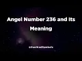 Angel Number 236 and Its Meaning 236 Meaning