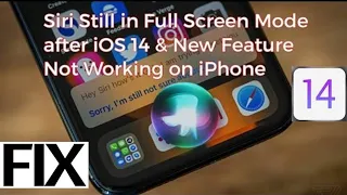 IOS 14 Siri New Interface Not Showing On IPhone Siri Not Working After IOS 14 Update 