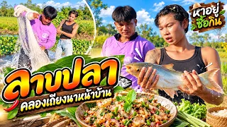ลาบปลา คลองเถียงนาหน้าบ้าน - หาอยู่ซื้อกิน