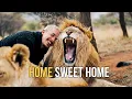 Download Lagu Welcome Home-Dean Schneider