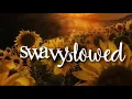 Download Lagu please don’t go (joel adams) - slowed