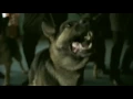 Download Lagu Faithless - We Come 1 (Official Video)