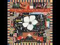 Texas Eagle - Steve Earle & The Del McCoury Band