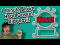 Troubleshoot Blown Head Gasket in 1 Minute