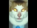 Monday Left Me Broken Full Version