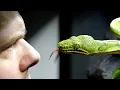 Download Lagu Przygotowania do tego projektu trwały 10 miesięcy...