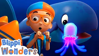 blippi wonders ocean sea creatures blippi animated series cartoons for kids