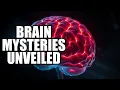 Unraveling the Human Brain s Most Baffling Mysteries