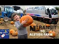Johny s New Jersey Transit Train Ride To The Pumpkin Patch Alstede Farm From Penn Station