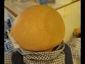 Cabbage Patch Pox updated April 2021