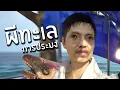 Download Lagu คนผีทะเล แต่ปลา ウミガリ |  Chilla's art Umigari DEMO